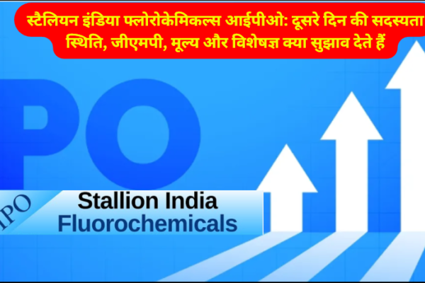 Stallion India Fluorochemicals IPO