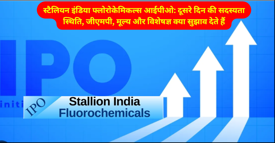 Stallion India Fluorochemicals IPO