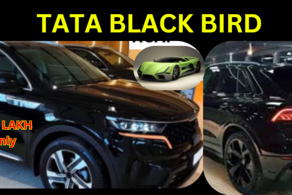 tata black bird