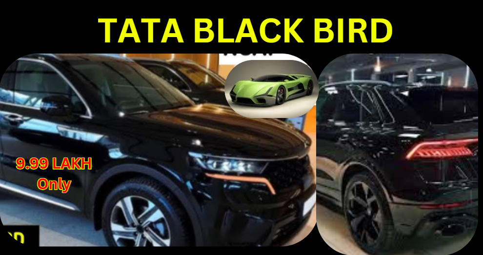 tata black bird